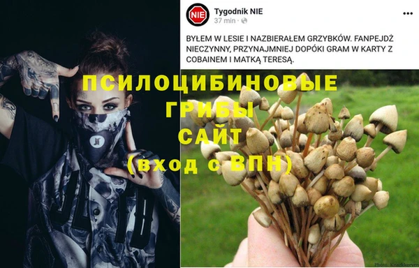 прущие крисы Михайлов