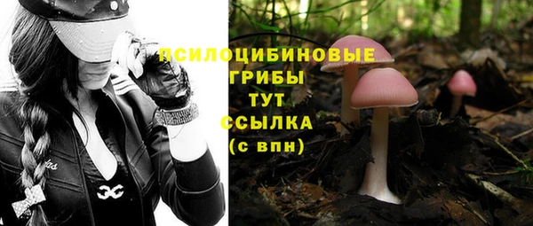 наркотики Михайловка